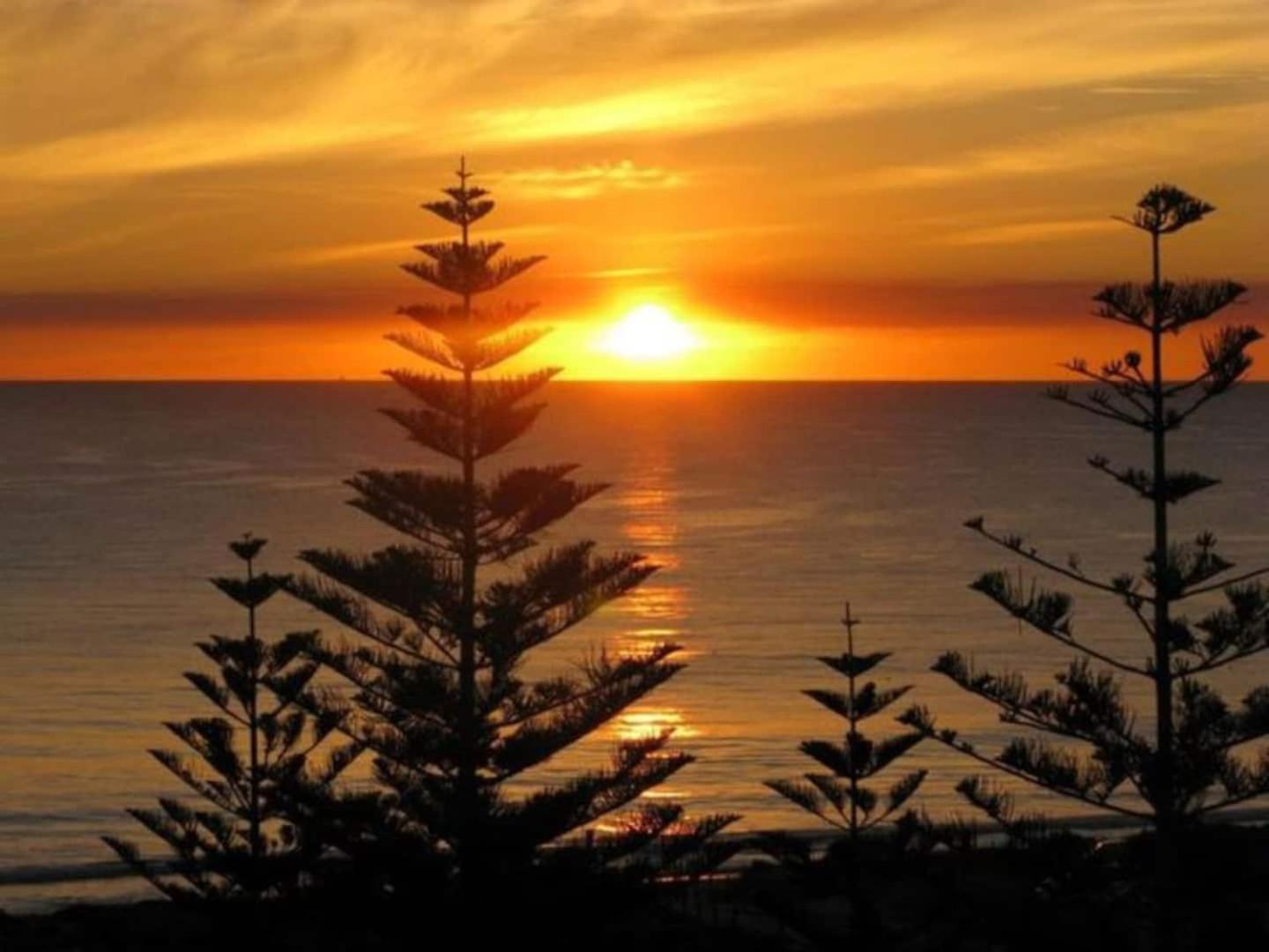 Acacia Holiday Or Business Stay - Quiet Location Perth Eksteriør bilde